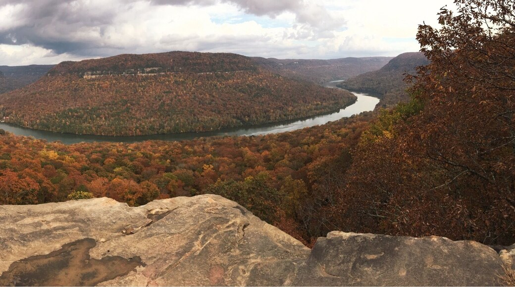 Snooper's rock in the fall is magical! 🍁