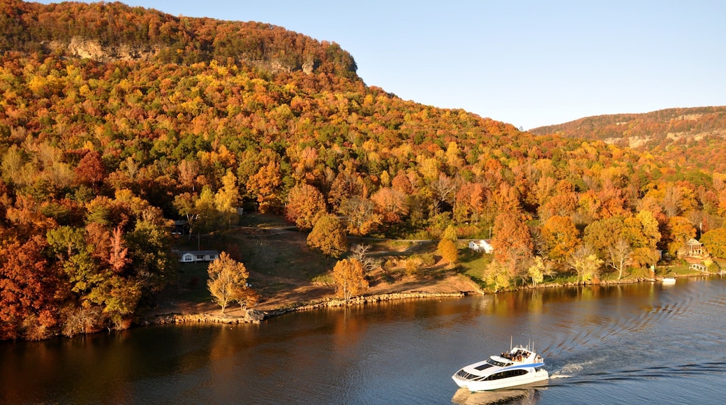 Chattanooga featuring syksyn lehdet, metsät ja joki tai puro