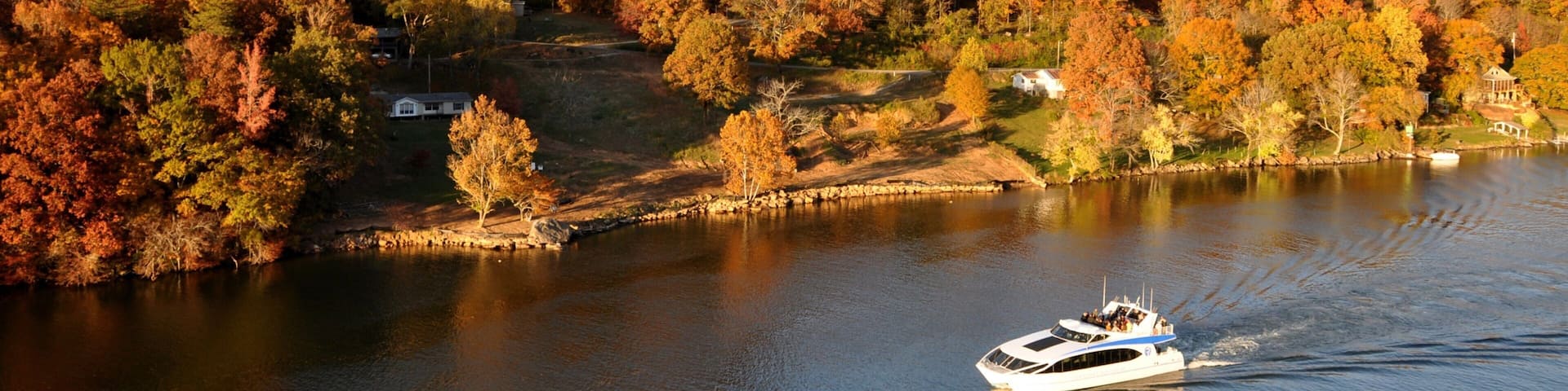 Chattanooga featuring forest scenes, fall colors and mountains