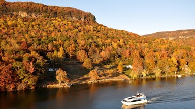 Chattanooga featuring forest scenes, fall colors and mountains