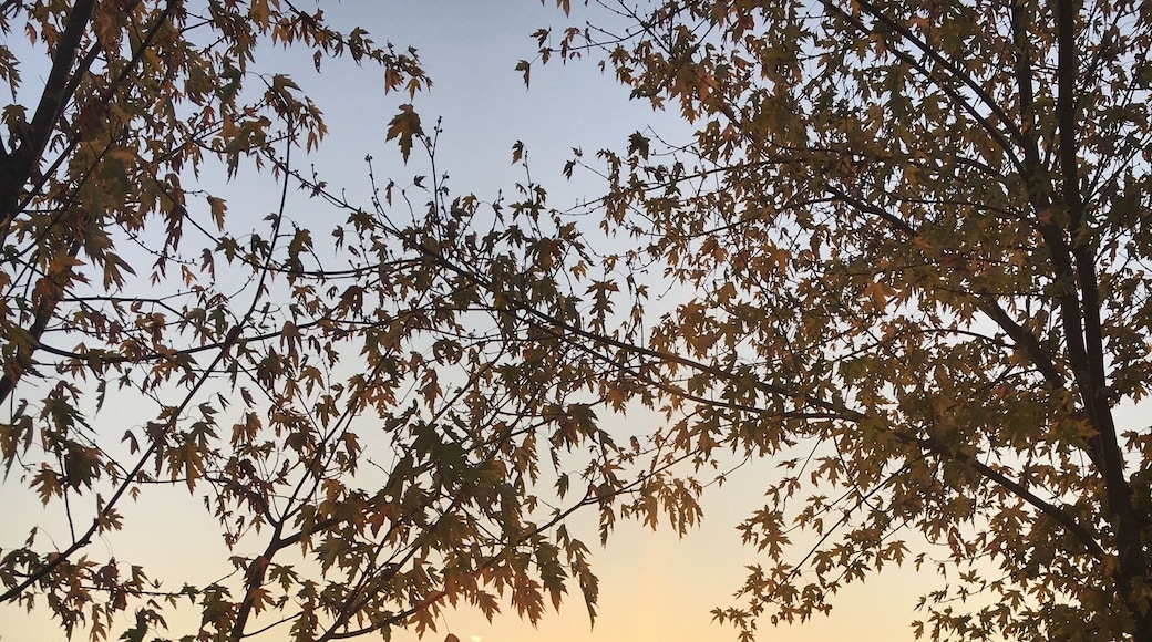 My drive to work. 😀