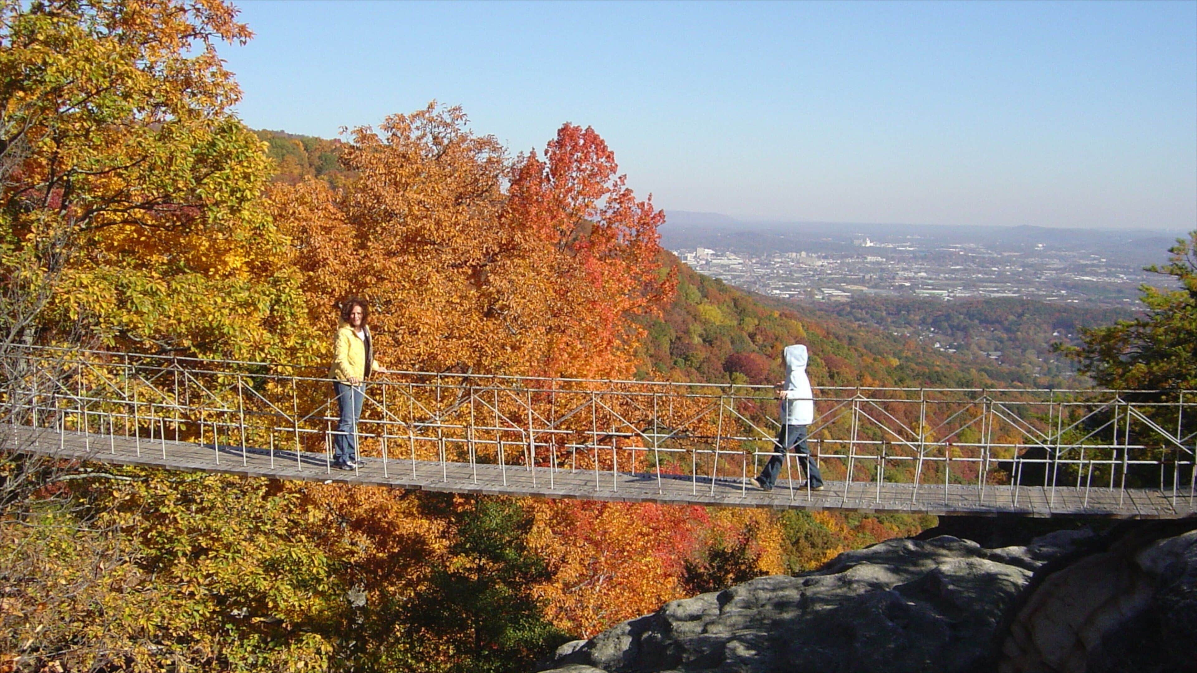 Chattanooga which includes a bridge, hiking or walking and autumn leaves