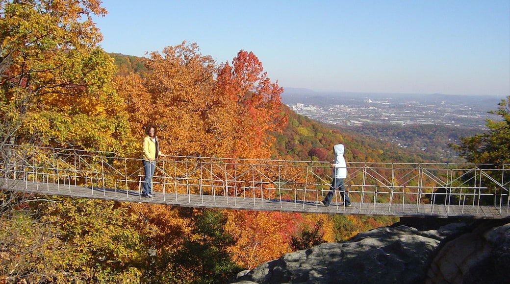 Chattanooga which includes a bridge, hiking or walking and autumn leaves