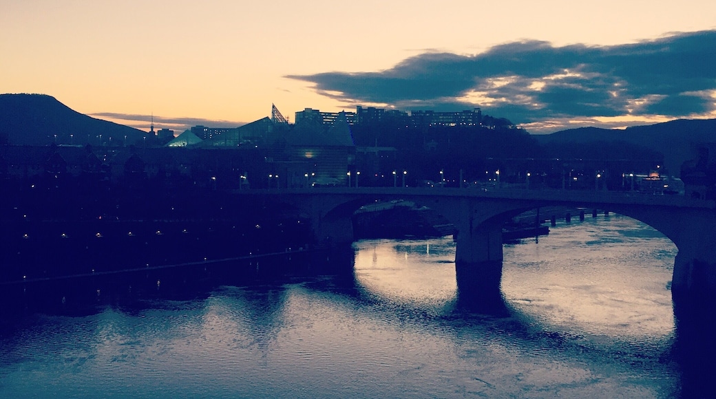 Downtown Chattanooga at dusk from the middle of the Tennessee River.
