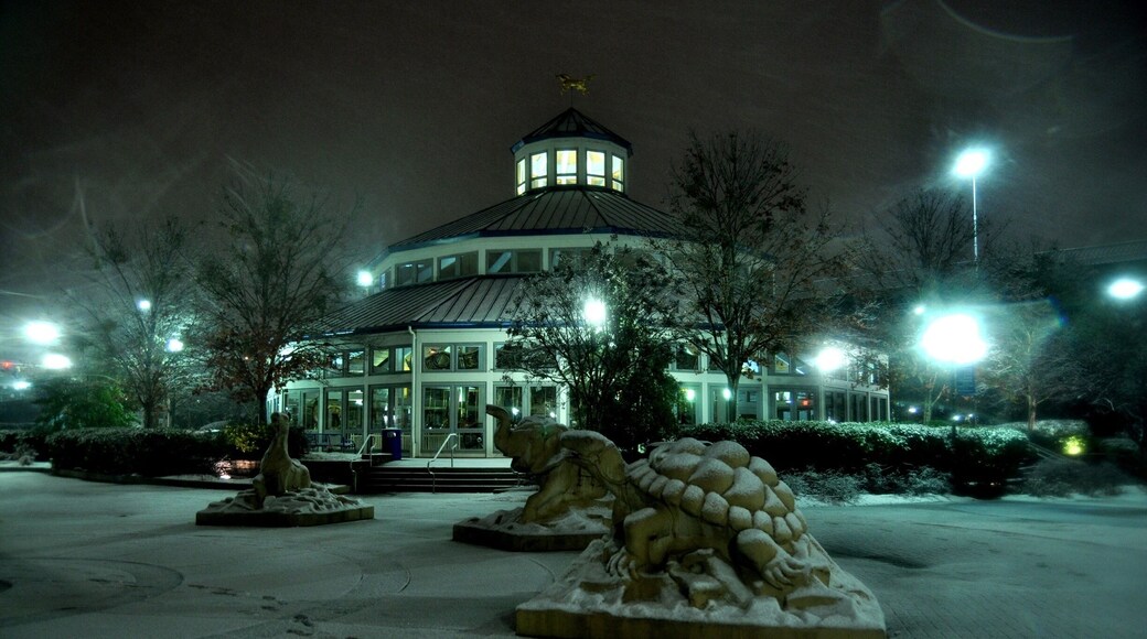 Dusting of snow at Coolidge Park.