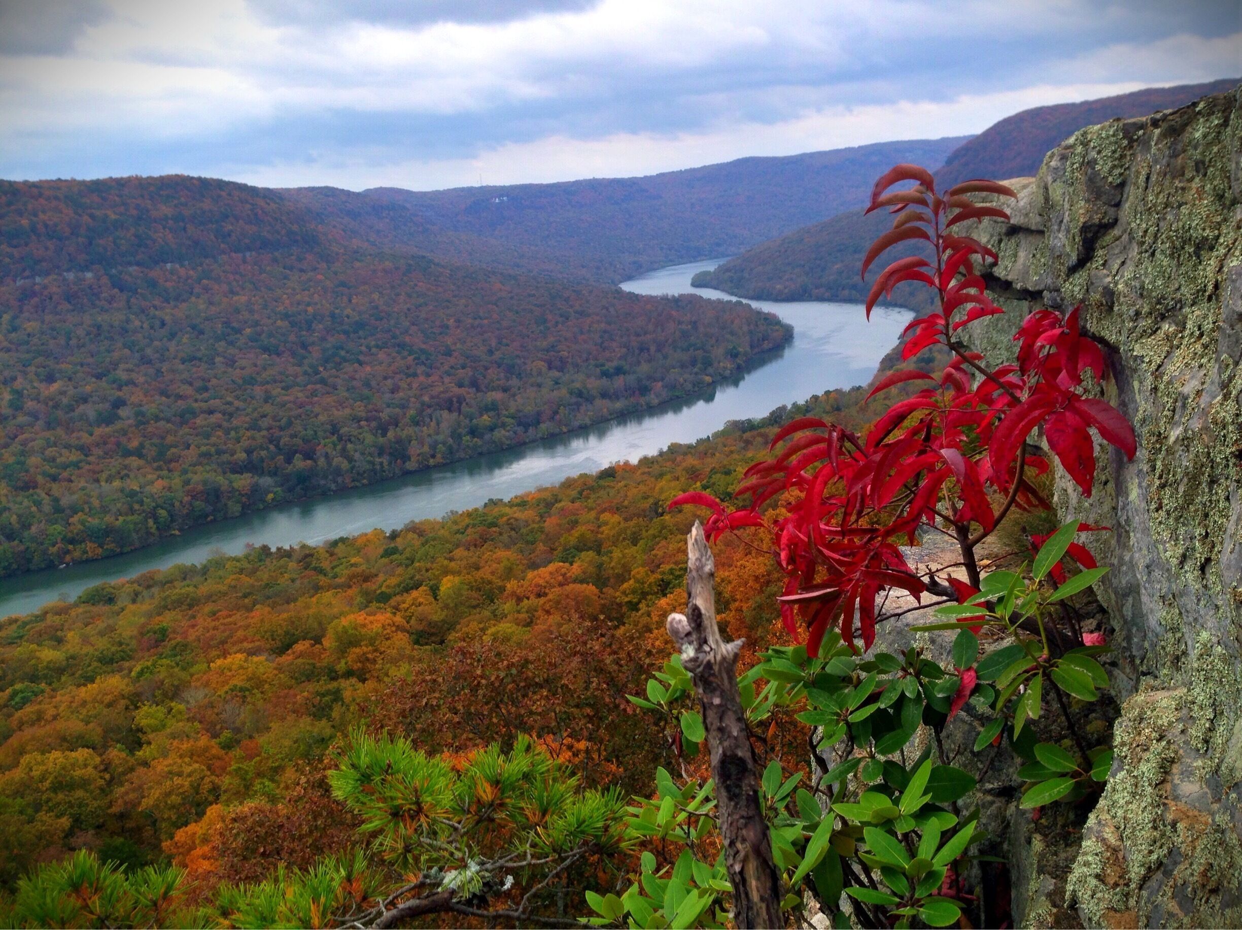 Fall in the Tennessee River Gorge.  
