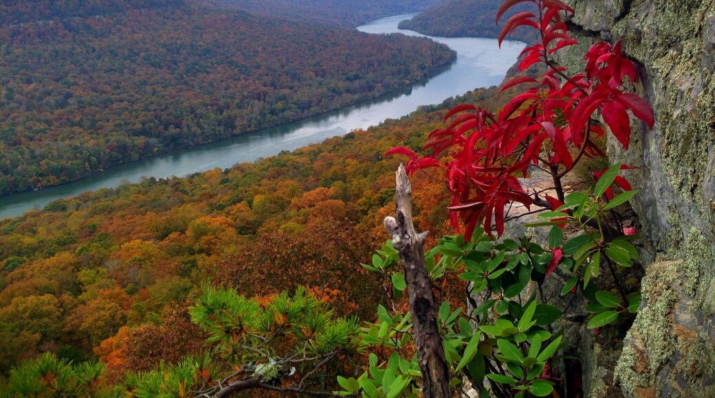 Fall in the Tennessee River Gorge.