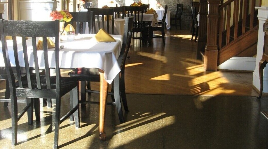 The amazing dining room.