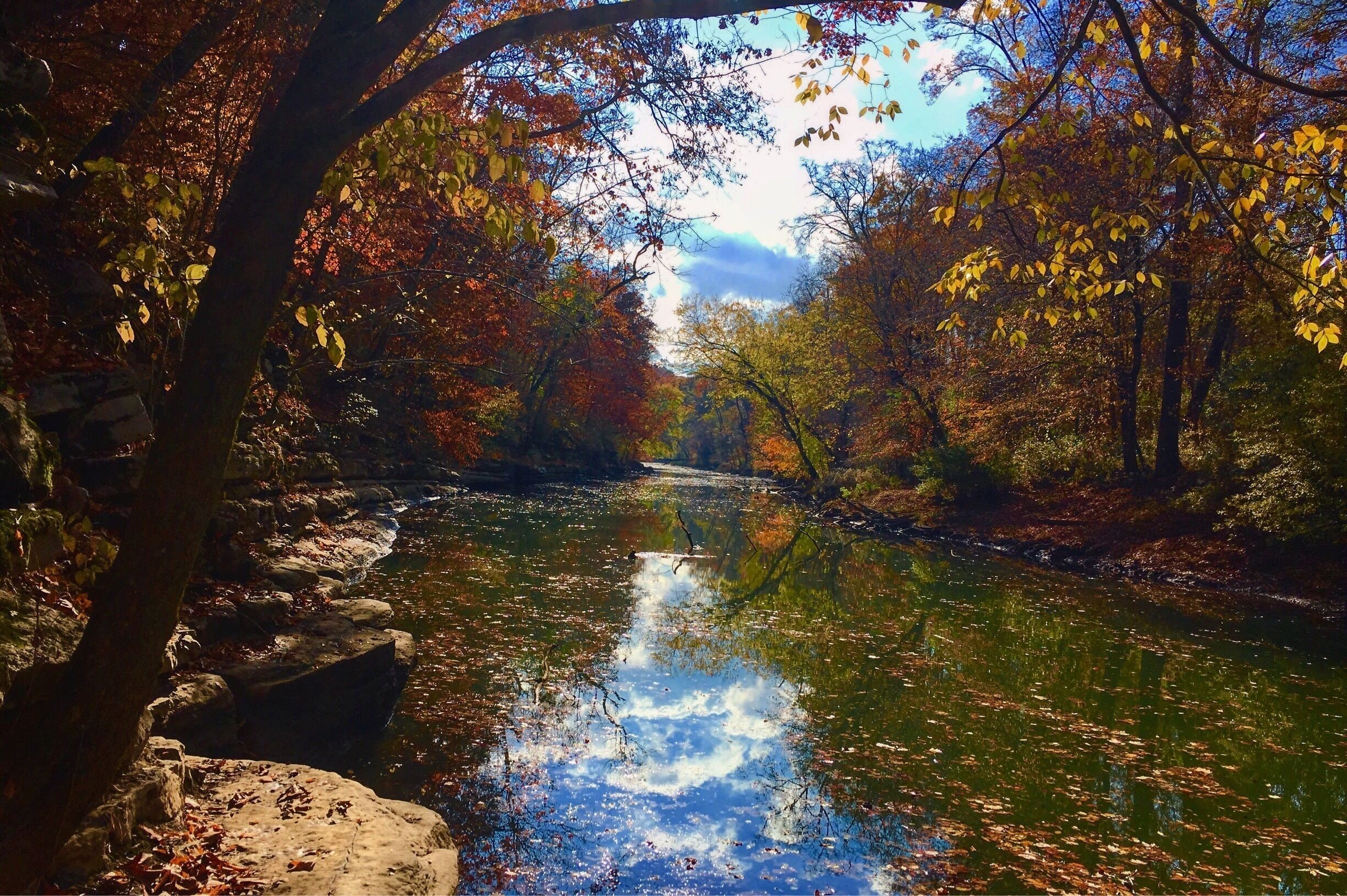 Fun picturesque park. Dog friendly. 