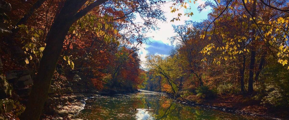Fun picturesque park. Dog friendly.