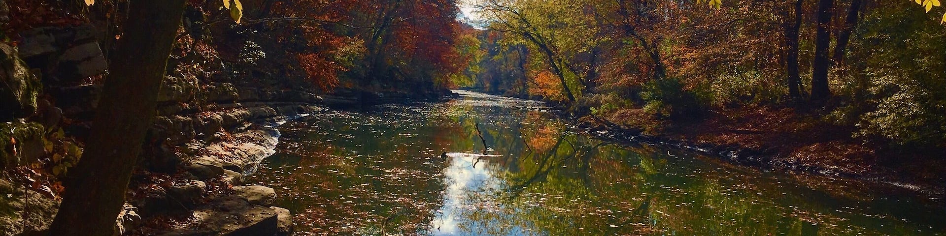 Fun picturesque park. Dog friendly.