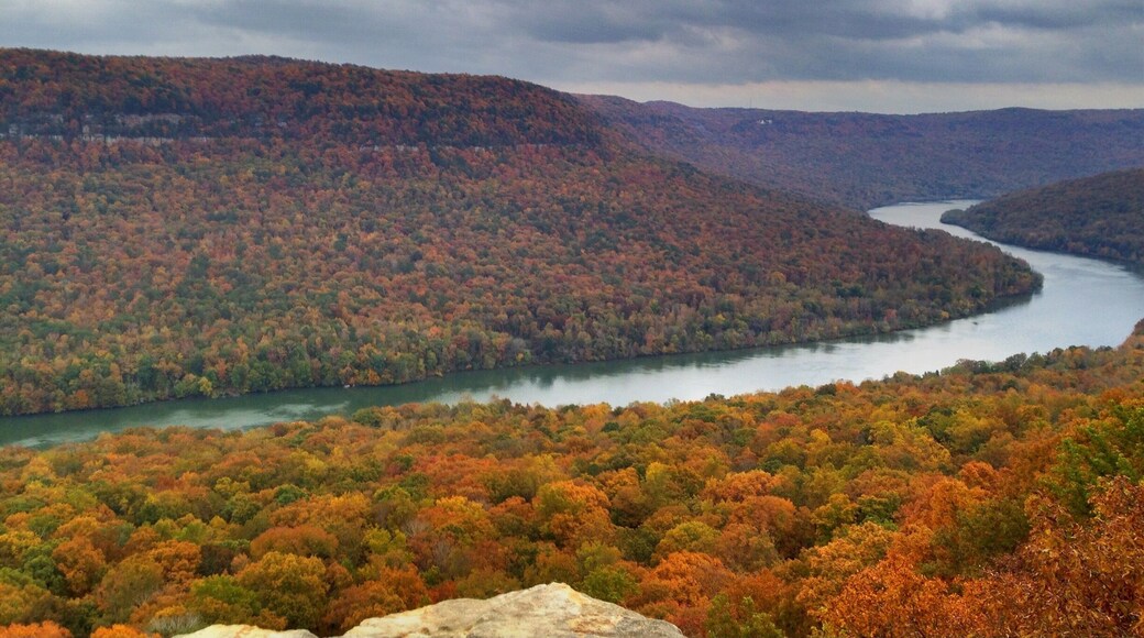 Autumn on the Tennessee River Gorge. One of my favorite spots to see the fall colors in the Tennessee River Valley.