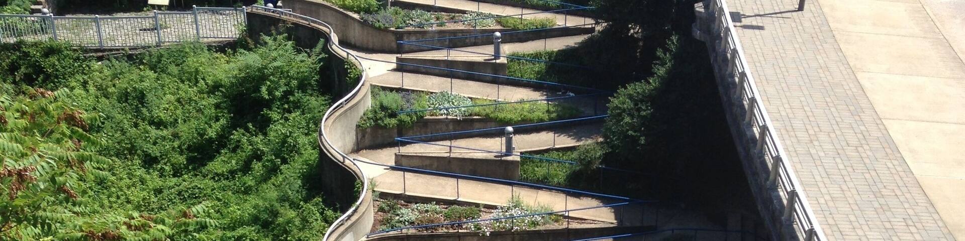 A spiral staircase surrounded by greenery and a paved walkway.