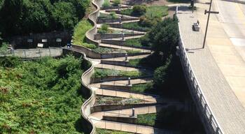 A fun way to get up and down!