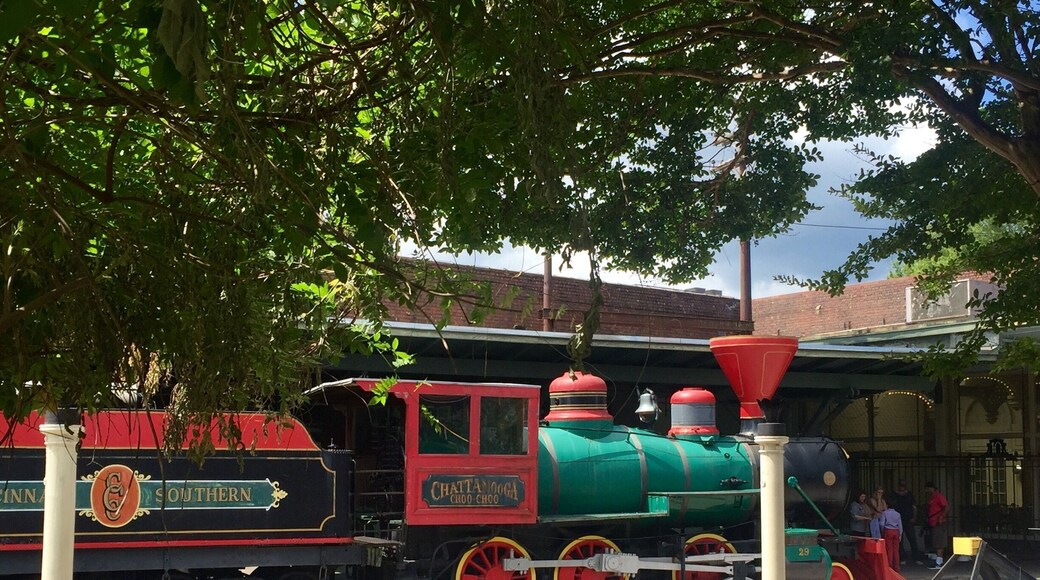 I recently passed through Chattanooga, Tennessee. I decided to visit the Choo Choo while there.