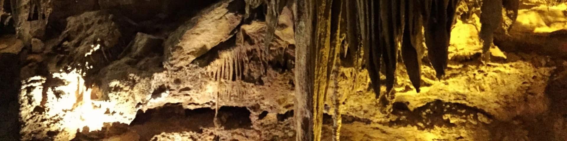 Raccoon Caverns has some amazing rock formations. They offer tours ranging from 45 minutes to 6 hours or more. You can even stay in the caverns overnight!