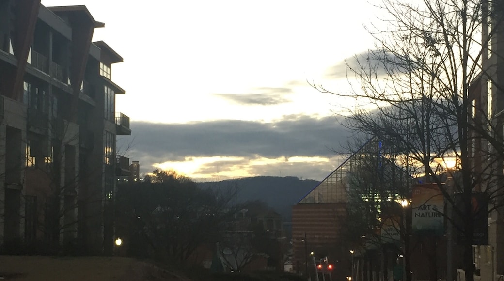 Condos adjacent to the Tennessee River facing the aquarium with the beautiful smokies providing the backdrop.