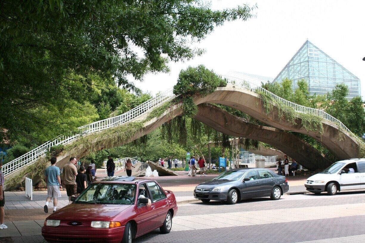 The awesome Tennessee Aquarium.  One of the best aquariums I've ever been to.