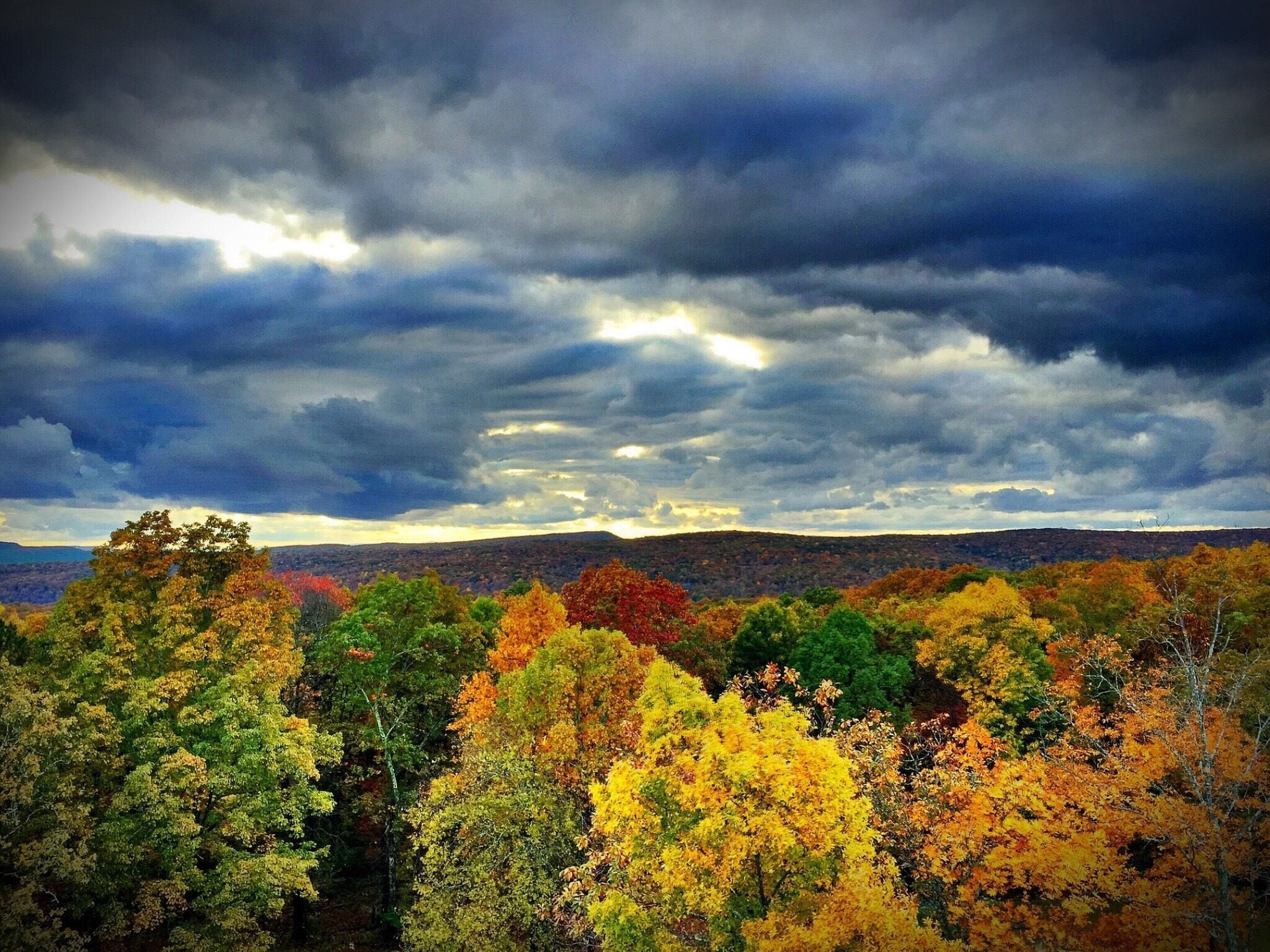 Fall on the Cumberland Plateau.  