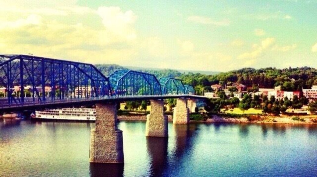 The best place to view the bridge and get some killer photos of Chattanooga is from the Hunter Museum of Art. #blue
