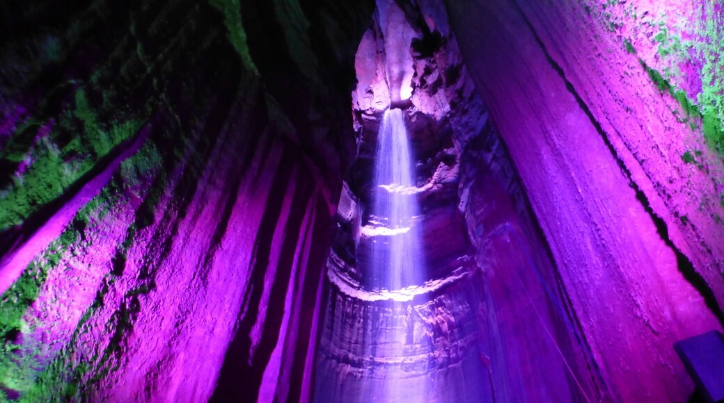 A unexpected journey into the mountain to ruby falls. If you are not claustrophobic it worth a look.