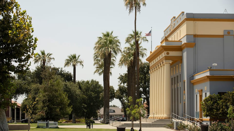 A building with columns and a flag, surrounded by palm trees and a well-maintained lawn.