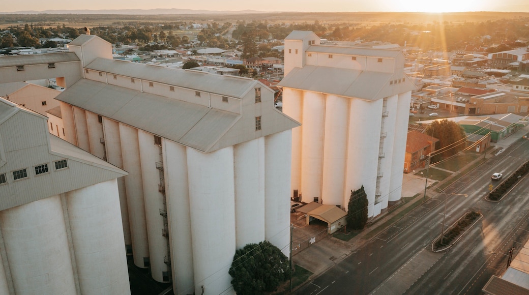 Kingaroy showing a sunset and a small town or village