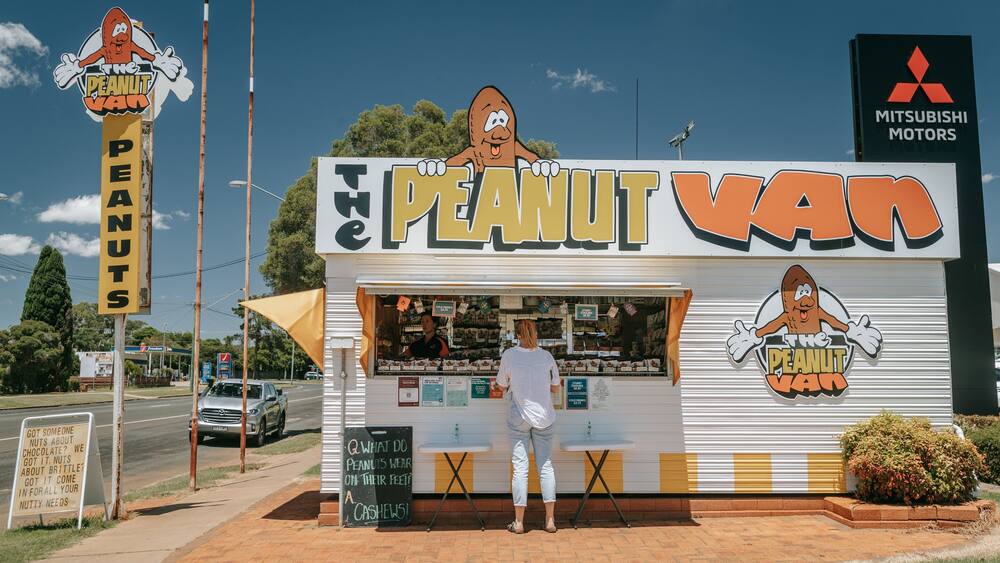A roadside snack stand named "The Peanut Van" with a cartoon peanut character logo.