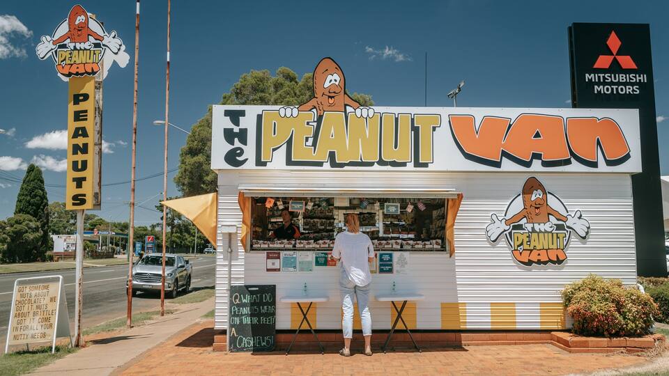 A roadside snack stand named "The Peanut Van" with a cartoon peanut character logo.