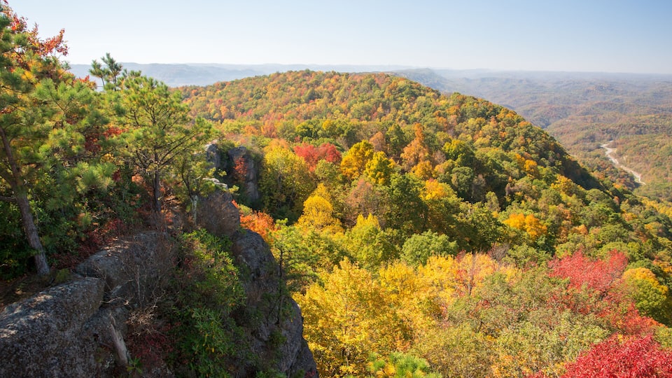 A mountainous landscape with autumn foliage, rocky terrain, and a winding road.