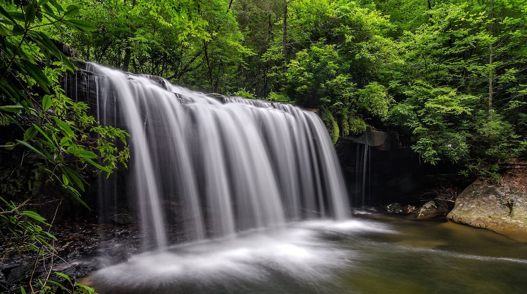Scenic waterfall, summer foliage, Appalachian Mountains
