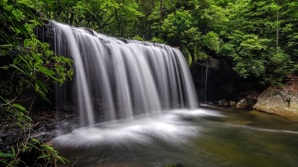 A waterfall surrounded by dense green foliage.