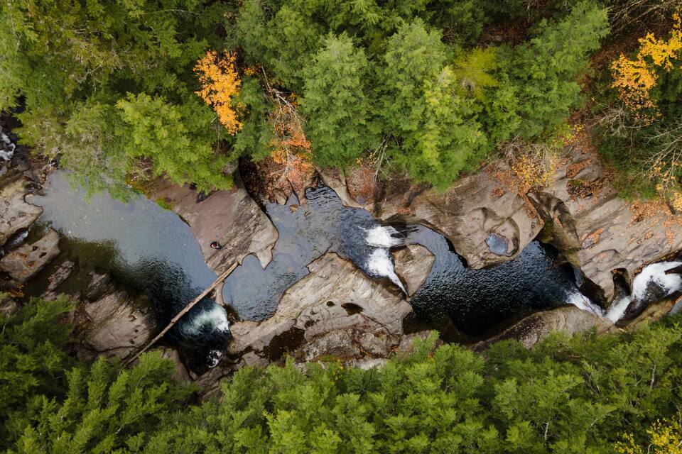 Un río serpentea por un bosque con terreno rocoso y algo de follaje anaranjado.