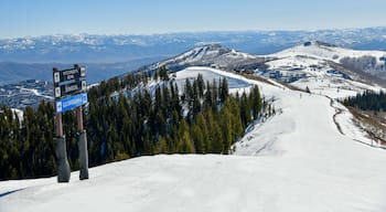 Park City Basisbereich