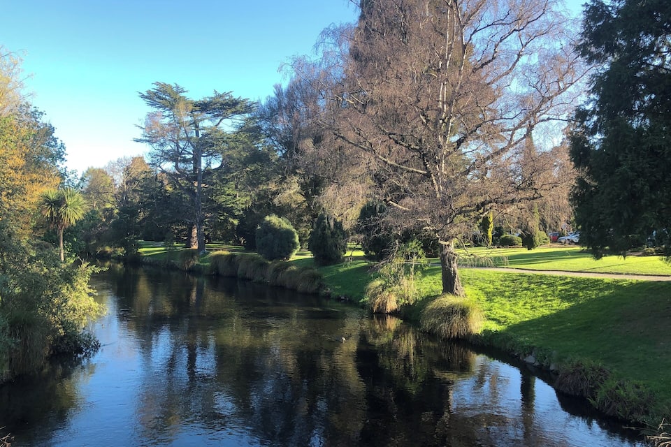 Um rio calmo com árvores e grama nas margens.