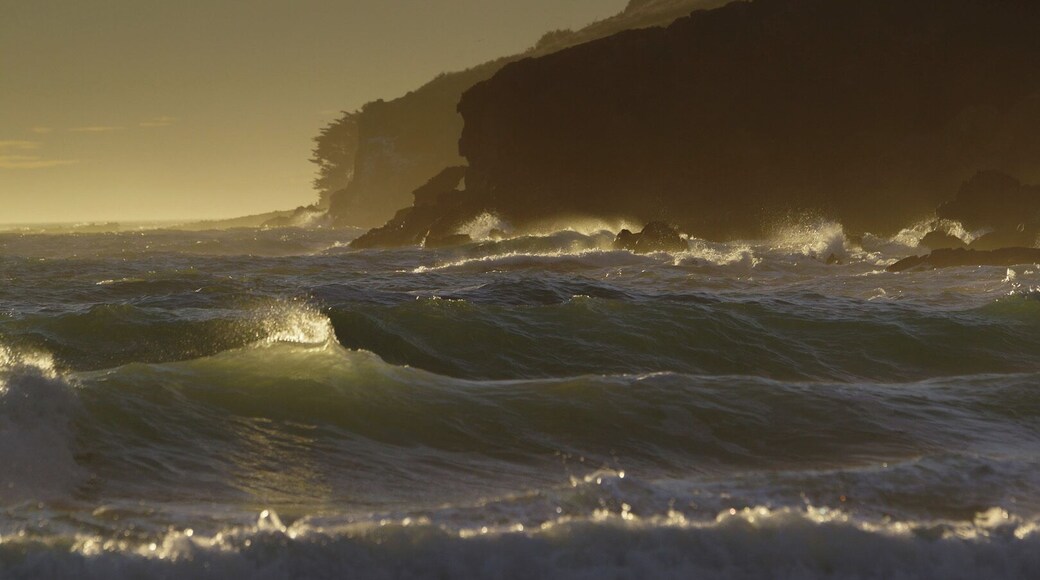 #goldenhour
Taylors Mistake a great place to start a walk to Godley Head at the entrance to Lyttleton Harbour.
Be ready to Huff n Puff and give those Hiking Boots a workout.