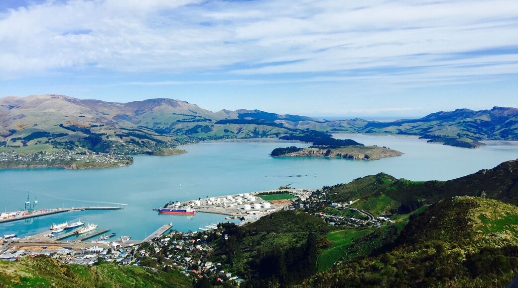 View from top of Christchurch Gondola
