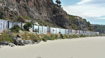 De road behind Sumner beach is lined with containers and art.