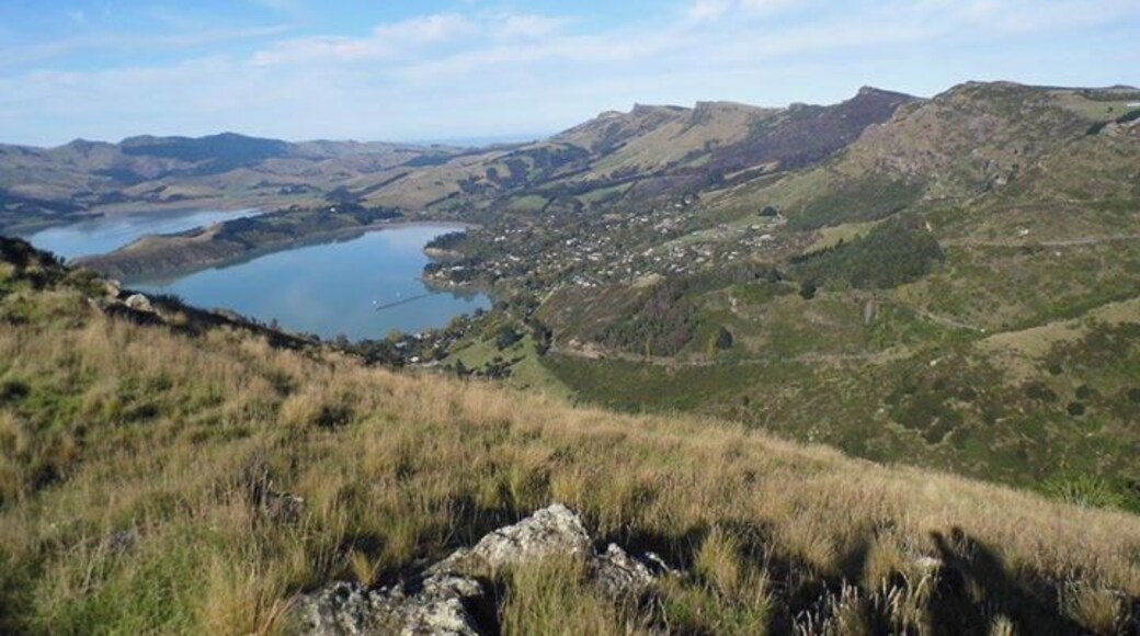 This stunning climb gives great views of Christchurch and the surrounding areas. Its so beautiful that even the sheep stop to enjoy the scenery. #troveon #sugarloaf #christchurch #newzealand #southisland #hills