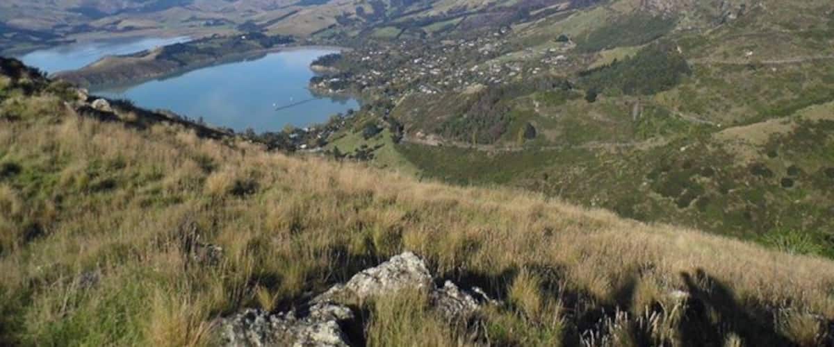 This stunning climb gives great views of Christchurch and the surrounding areas. Its so beautiful that even the sheep stop to enjoy the scenery. #troveon #sugarloaf #christchurch #newzealand #southisland #hills