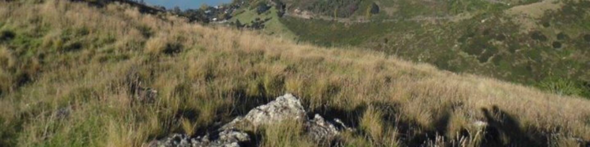 This stunning climb gives great views of Christchurch and the surrounding areas. Its so beautiful that even the sheep stop to enjoy the scenery. #troveon #sugarloaf #christchurch #newzealand #southisland #hills