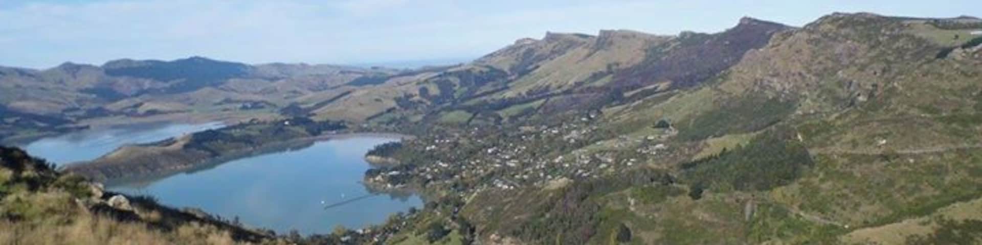 This stunning climb gives great views of Christchurch and the surrounding areas. Its so beautiful that even the sheep stop to enjoy the scenery. #troveon #sugarloaf #christchurch #newzealand #southisland #hills