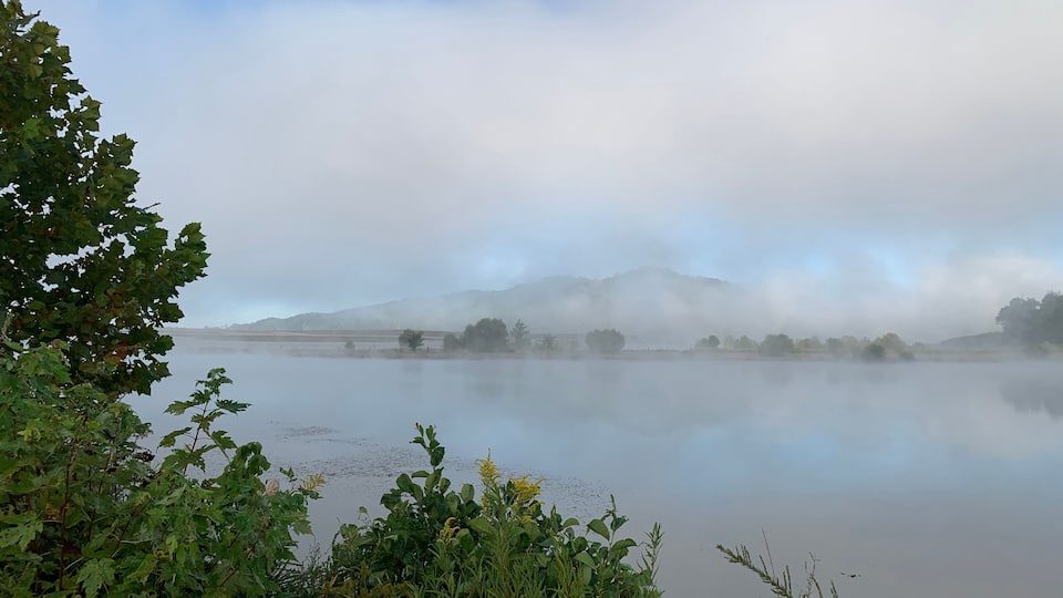 A misty lake with mountains in the background and dense foliage in the foreground.