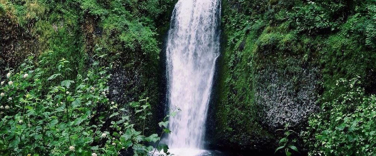 Only a half hour drive from Portland, it's a must see of you're in the area. A great place for hikers and non-hikers. The waterfalls can be viewed from the parking lot or head for the trails if you want to get up close. The hike to the bridge is about 1/4 mile and 2.6 miles round trip to hike to the upper viewpoint. #hiking
