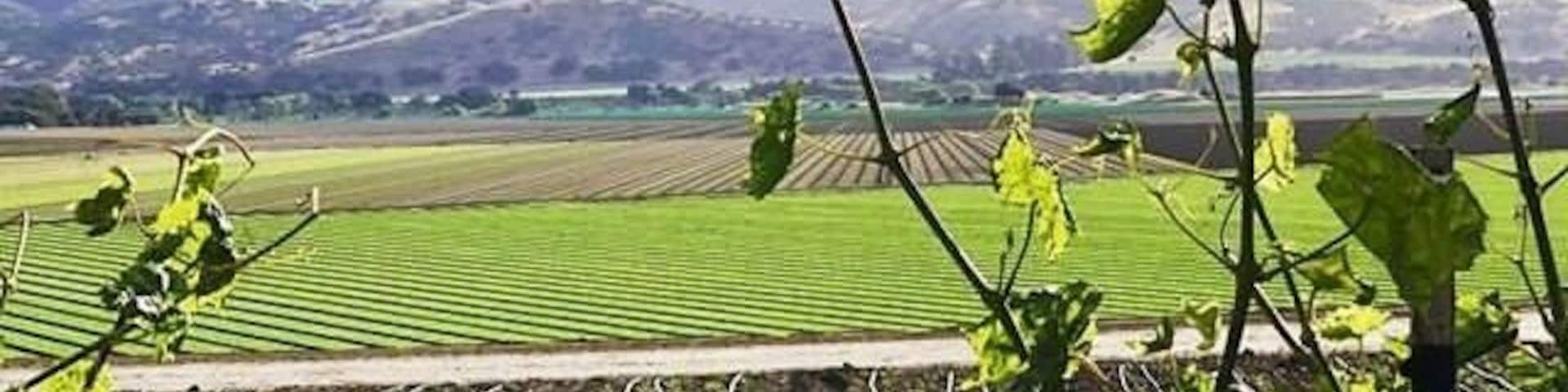 Farm workers work these fields from dawn to dusk. I have tremendous respect for them because it’s a difficult job. #culture