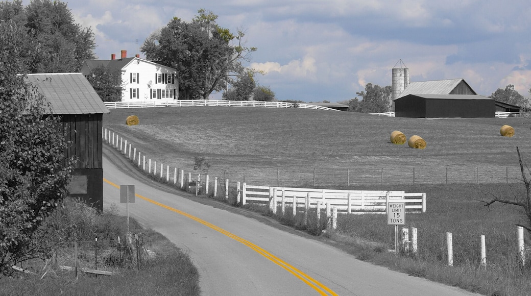 Just driving the bakroads of rural Kentucky. #