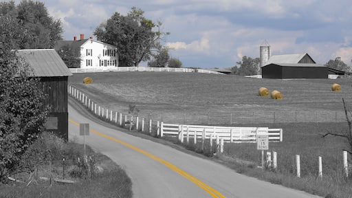 Just driving the bakroads of rural Kentucky. #