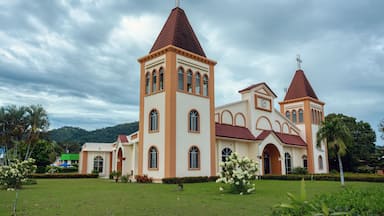 Una iglesia con dos torres y una cruz en la parte superior, rodeada de vegetación y palmeras.