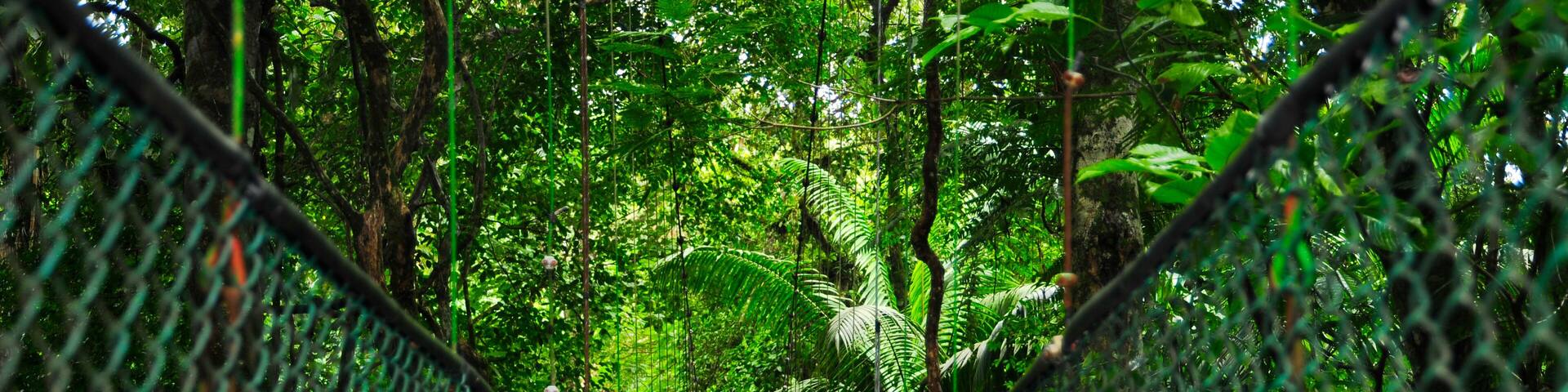 Suspension foot bridges add to the fun while exploring the biodiversity of the rainforest ecosystem in Tirimbina Biological Reserve in Costa Rica.