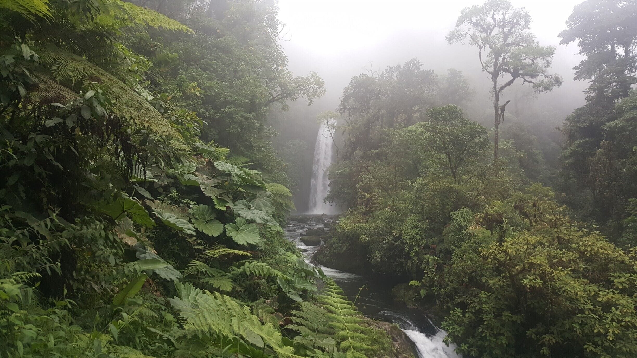 This is one of the the best Waterfalls close to Póas Volcano in Costa Rica, a place to visit during your trips to the country, you can take a hike, see some animals surrounded by deep green forest and enjoy a great experience.
I do recommend to visit La Paz Waterfall Gardens during the morning, becuase you can spend all day in the area, remember to wear a jacket, and confortable shoes.
#LifeAtExpedia 